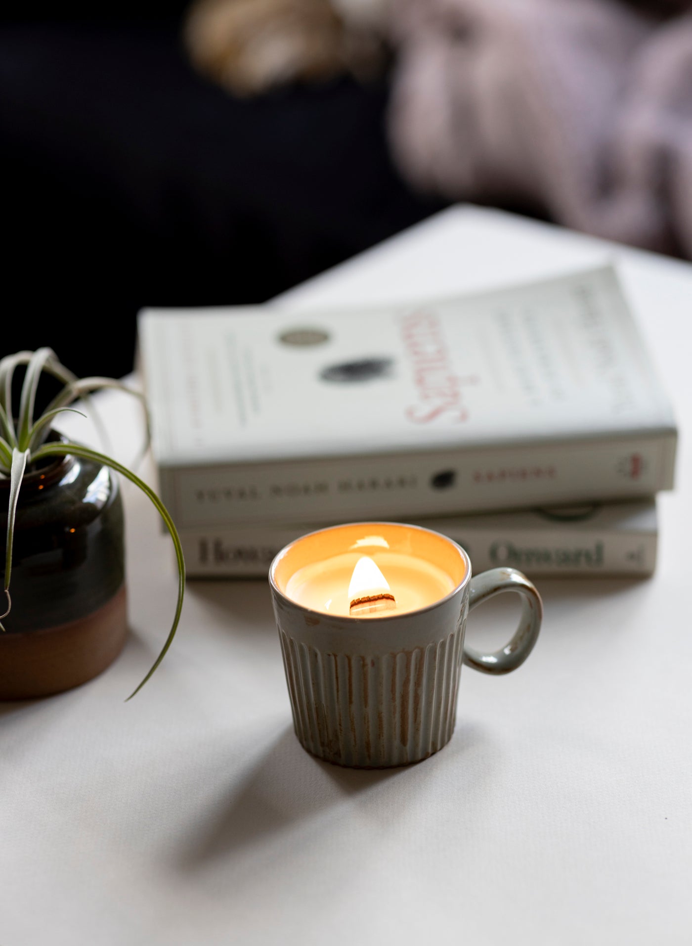 Bougie dans une tasse - Épinette et bois d'hinoki